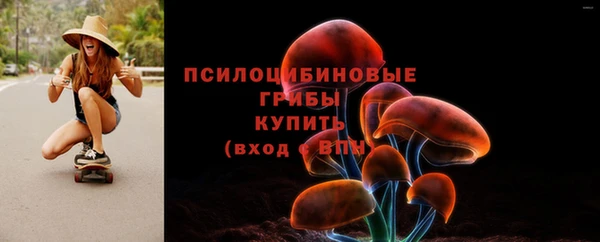 тгк Алексин